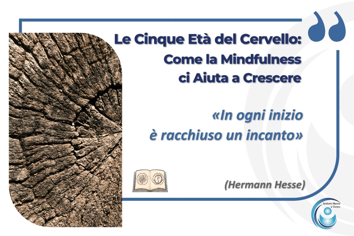 Le Cinque Età del Cervello: Come la Mindfulness ci Aiuta a Crescere