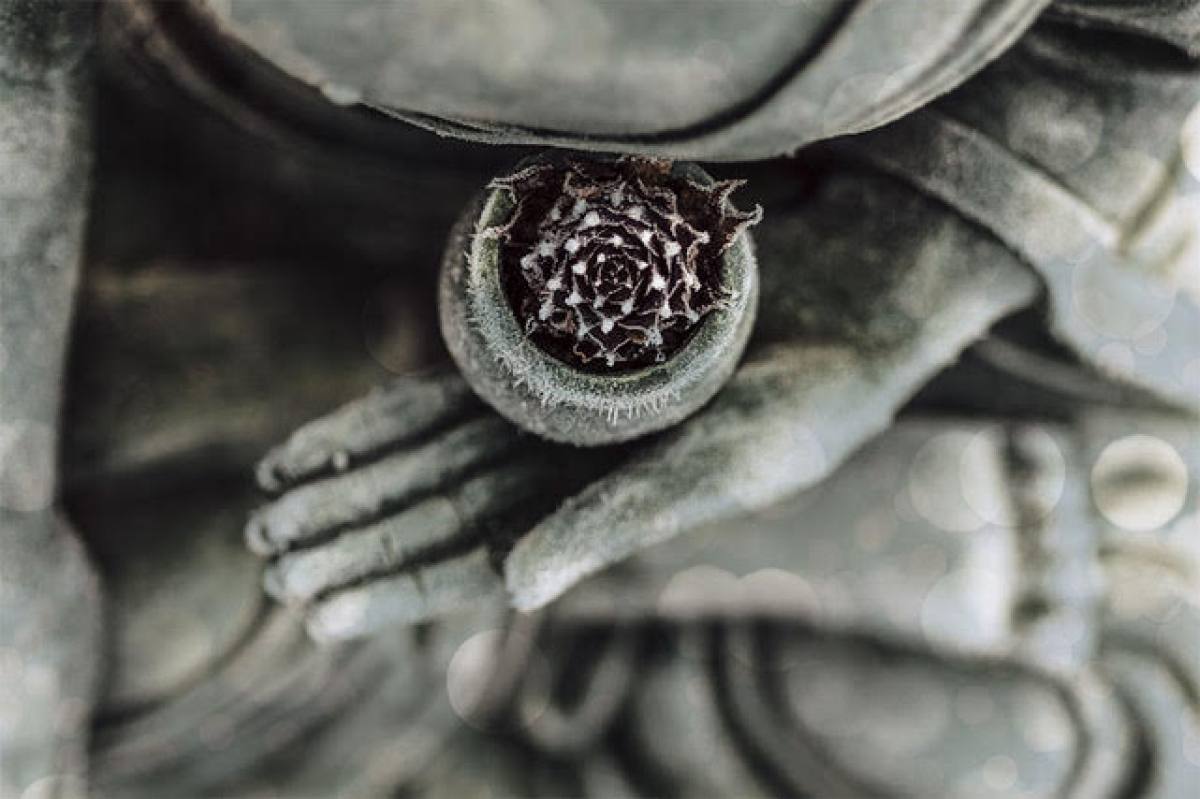 La Mindfulness è utile per la depressione?